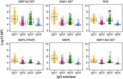 Differential Patterns of IgG Subclass Responses to Plasmodium falciparum Antigens in Relation to Malaria Protection and RTS,S Vaccination